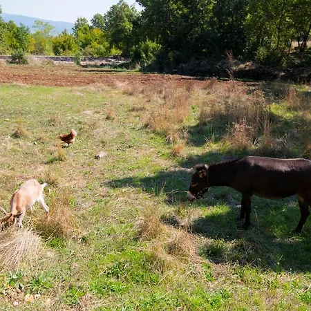 Ferienhaus Ognjistar In The Hinterland Of Makarska Riviera Zmijavci